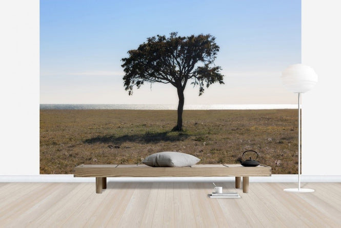 PHOTOWALL / Lonely Tree on Gotland (e23074)
