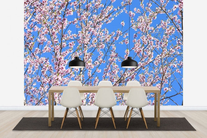 PHOTOWALL / Cherry Blossom Tree (e23083)