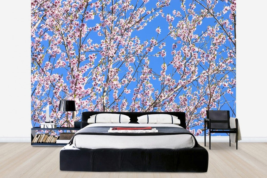PHOTOWALL / Cherry Blossom Tree (e23083)