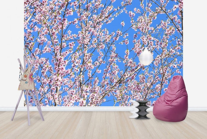 PHOTOWALL / Cherry Blossom Tree (e23083)