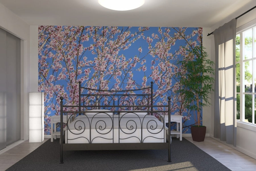 PHOTOWALL / Cherry Blossom Tree (e23083)