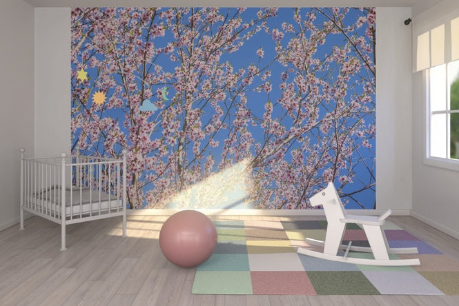 PHOTOWALL / Cherry Blossom Tree (e23083)