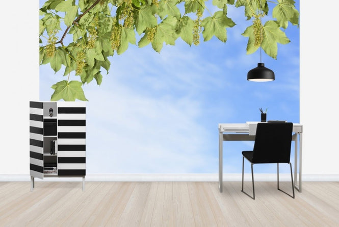 PHOTOWALL / Green Leaves on Blue Sky (e23087)