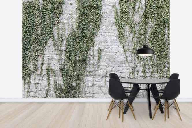 PHOTOWALL / Foliage (e23093)