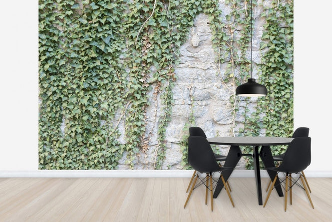PHOTOWALL / Ivy Wall (e23095)