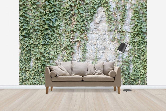 PHOTOWALL / Ivy Wall (e23095)