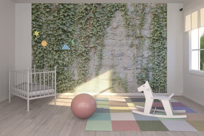 PHOTOWALL / Ivy Wall (e23095)