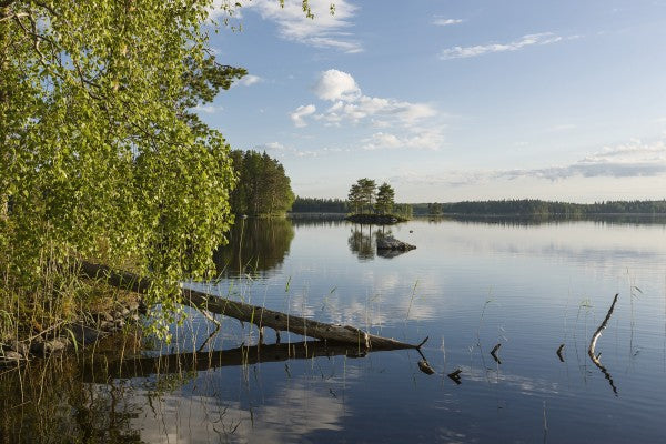 PHOTOWALL / Swedish Lake Landscape (e23104)