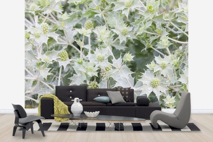 PHOTOWALL / Thistles (e23120)