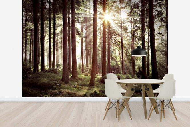 PHOTOWALL / Sunbeam Through Trees - Retro (e23127)