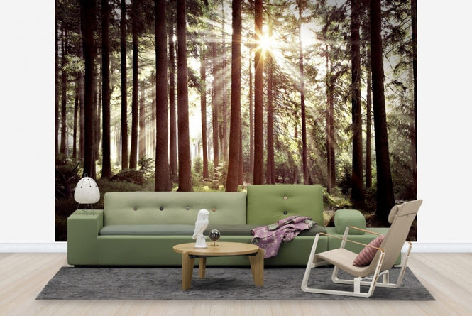 PHOTOWALL / Sunbeam Through Trees - Retro (e23127)