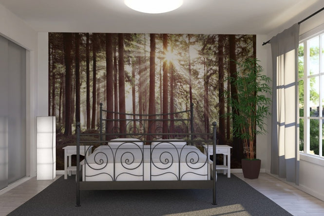 PHOTOWALL / Sunbeam Through Trees - Retro (e23127)