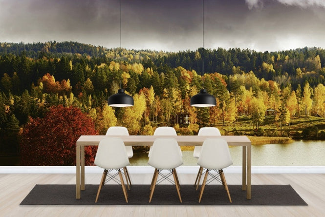 PHOTOWALL / Autumn colored Landscape in Sweden (e23164)