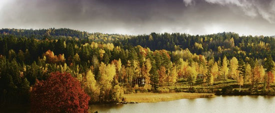 PHOTOWALL / Autumn colored Landscape in Sweden (e23164)