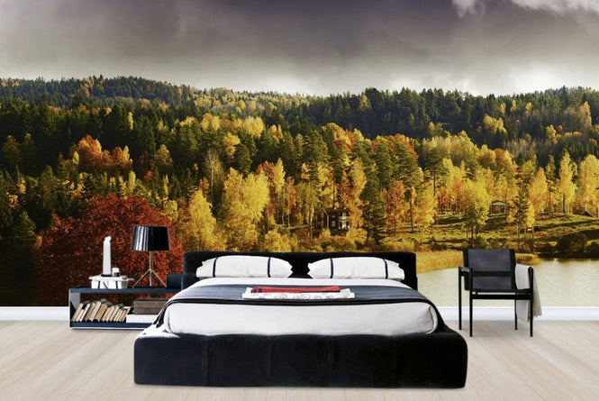 PHOTOWALL / Autumn colored Landscape in Sweden (e23164)