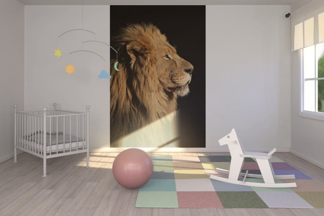 PHOTOWALL / Big Male African Lion (e23167)