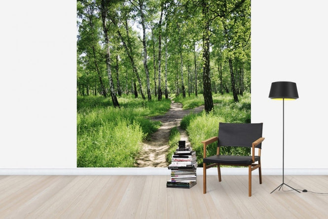 PHOTOWALL / Birch Forest on Sunny day (e23168)