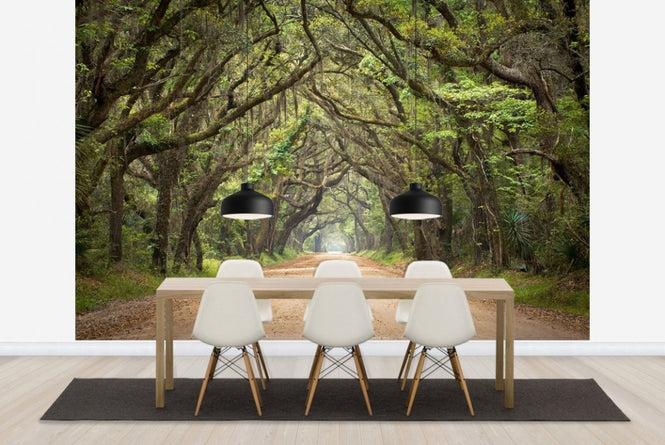 PHOTOWALL / Oak Tree Road (e23182)