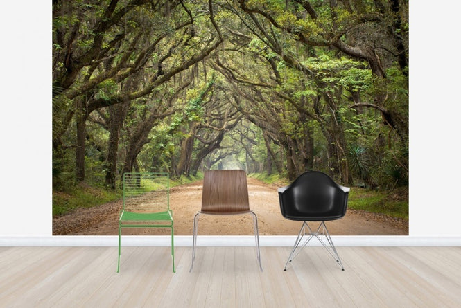 PHOTOWALL / Oak Tree Road (e23182)