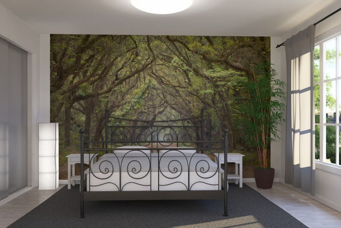 PHOTOWALL / Oak Tree Road (e23182)