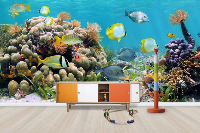 PHOTOWALL / Panorama Coral Reef (e23187)