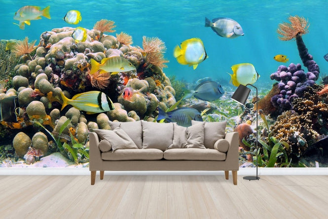 PHOTOWALL / Panorama Coral Reef (e23187)