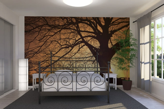 PHOTOWALL / Silouette of a Willow Tree (e23191)