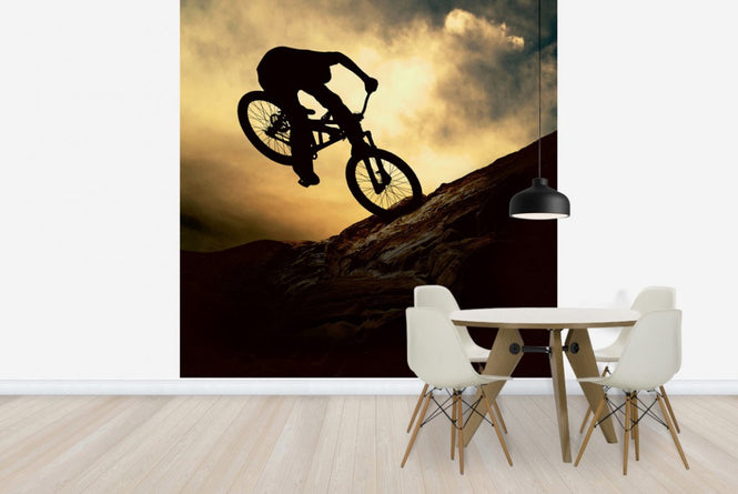 PHOTOWALL / Mountain Bike Rider (e23210)