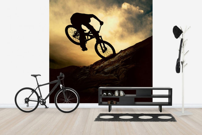 PHOTOWALL / Mountain Bike Rider (e23210)