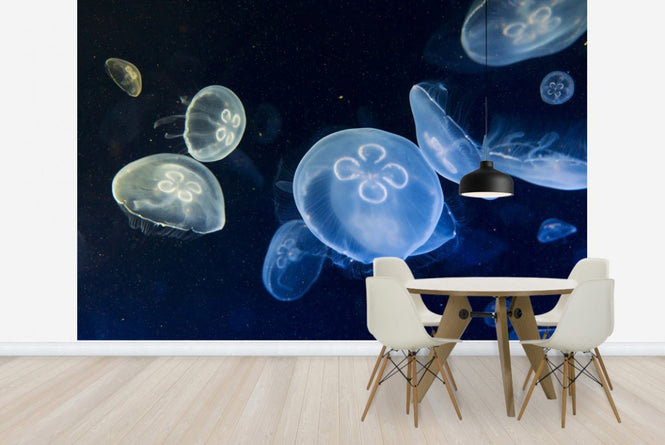 PHOTOWALL / Floating Jellyfish (e23255)