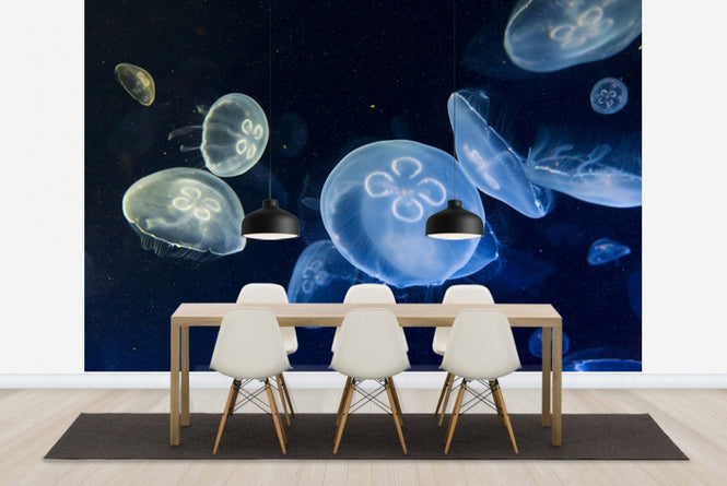 PHOTOWALL / Floating Jellyfish (e23255)