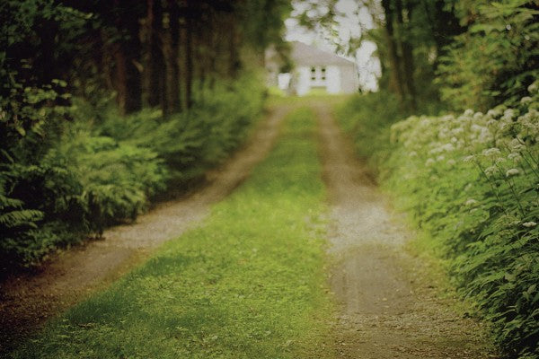 PHOTOWALL / Going Home (e23357)