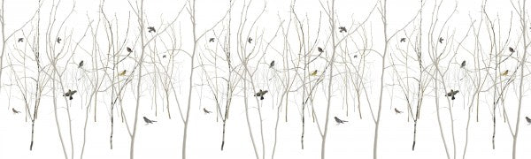 PHOTOWALL / Pattern Jay Plain (e23384)