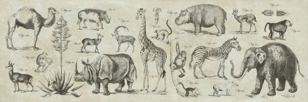 PHOTOWALL / Wild Africa (e23402)