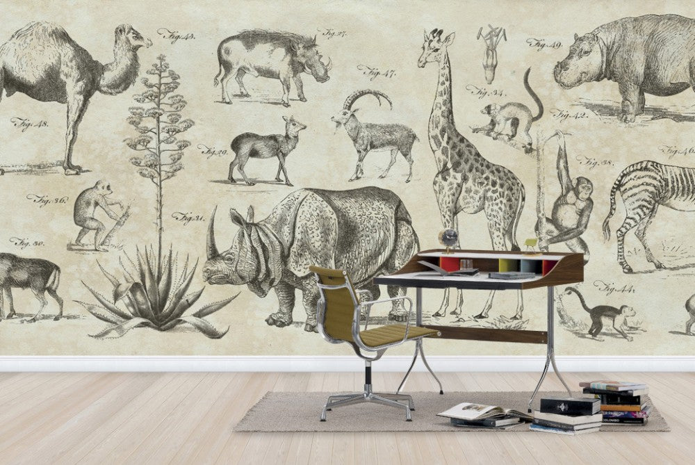PHOTOWALL / Wild Africa (e23402) | 輸入壁紙専門店 WALPA – WALPA.jp