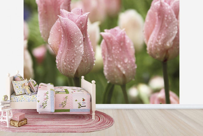 PHOTOWALL / Tulips After Rain (e23403)
