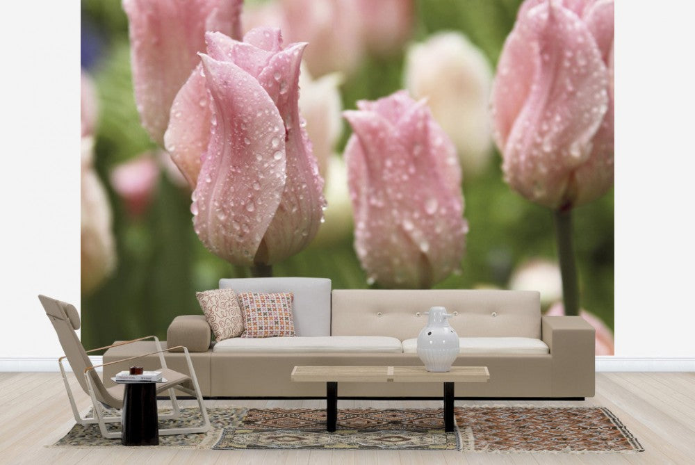 PHOTOWALL / Tulips After Rain (e23403) | 輸入壁紙専門店 WALPA