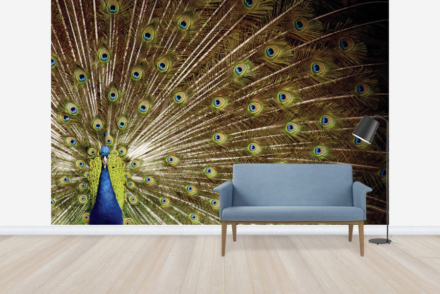 PHOTOWALL / Proud as a Peacock (e23406)