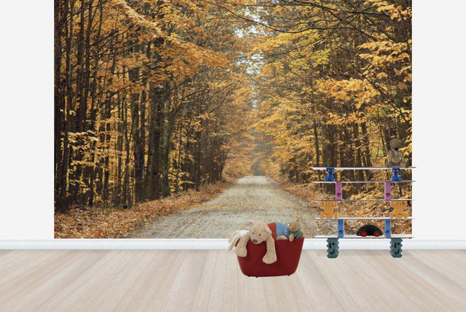 PHOTOWALL / Autumn Country Road (e23409)
