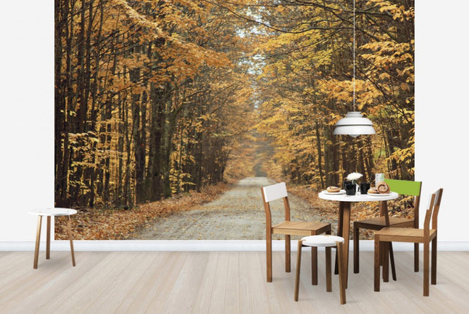 PHOTOWALL / Autumn Country Road (e23409)