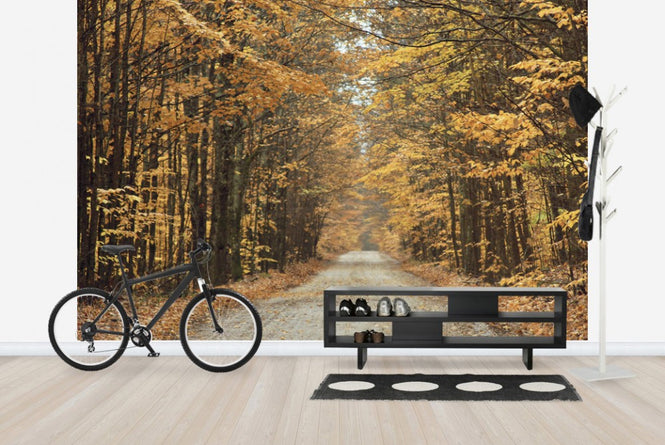 PHOTOWALL / Autumn Country Road (e23409)