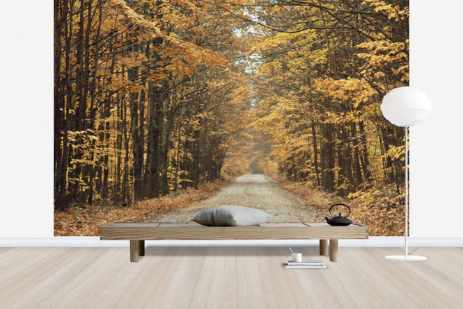 PHOTOWALL / Autumn Country Road (e23409)