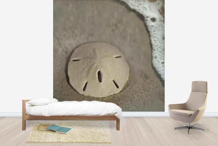 PHOTOWALL / Sand Dollar Surf (e23455)