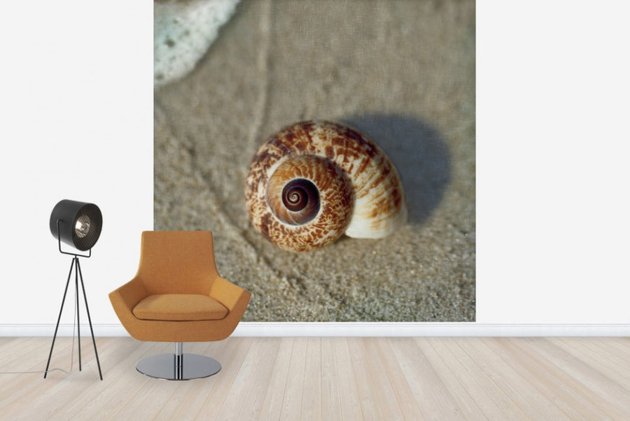 PHOTOWALL / Sand Surf Shell (e23456)