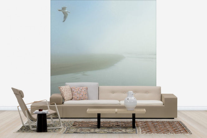 PHOTOWALL / Seagull Morning (e23462)