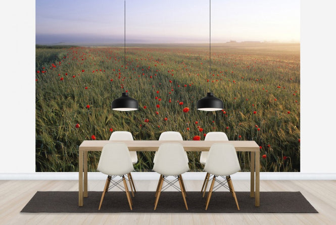 PHOTOWALL / Dreamy Fields of Poppies (e23508)