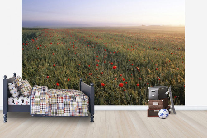 PHOTOWALL / Dreamy Fields of Poppies (e23508)