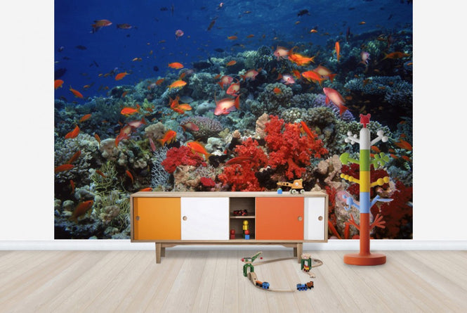 PHOTOWALL / Red Sea (e23509)