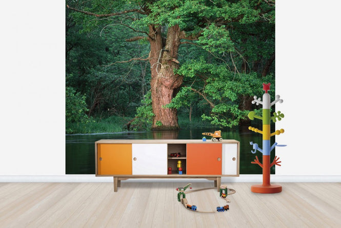 PHOTOWALL / Oak Flooded by River (e23516)