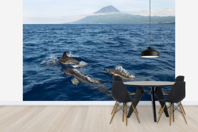 PHOTOWALL / Dolphins in the Azores (e23522)